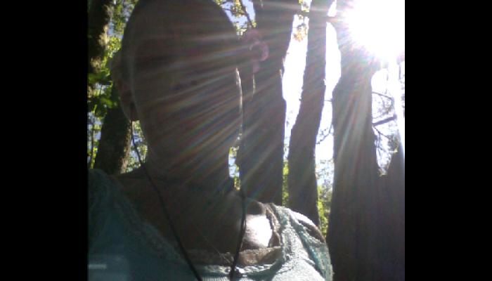 Bright sunlight streaming through tall trees onto a person wearing a light blue lace top.
