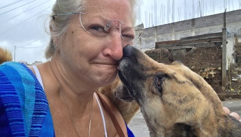A woman wearing glasses squints playfully as a brown brindle dog licks her nose outdoors.