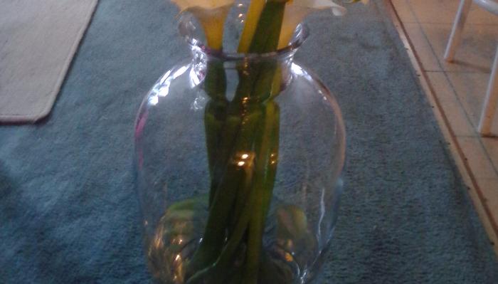 A rounded clear glass vase with long green stems and white flowers, standing on a blue carpeted floor.