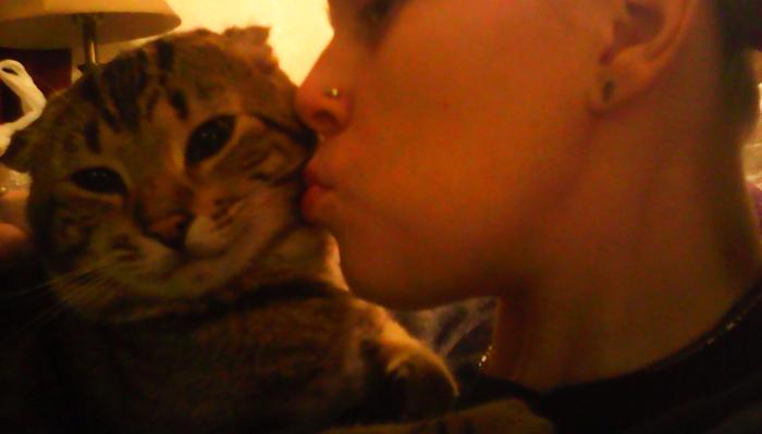 Close-up of a person kissing a tabby cat on the cheek.