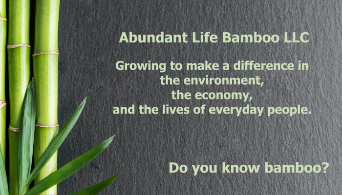 Green bamboo stalks on dark slate with text: Abundant Life Bamboo LLC. Growing to make a difference... Do you know bamboo?