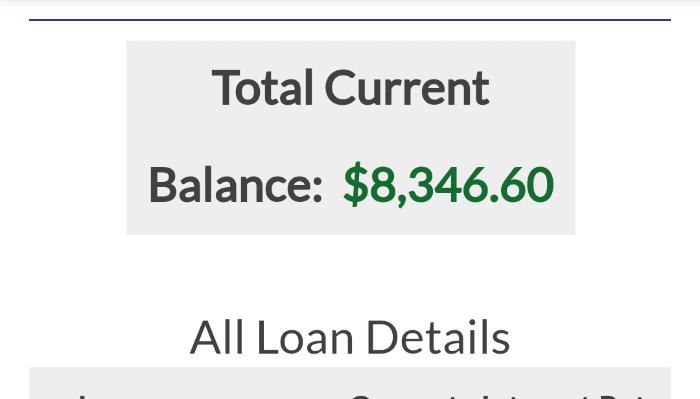 Account summary showing a total current balance of $8,346.60 above loan details.