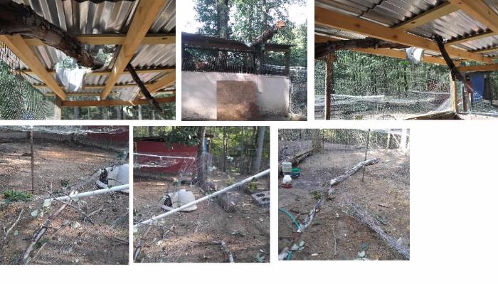 Fallen tree branches pierced through the metal roof and mesh fencing of an outdoor animal enclosure.