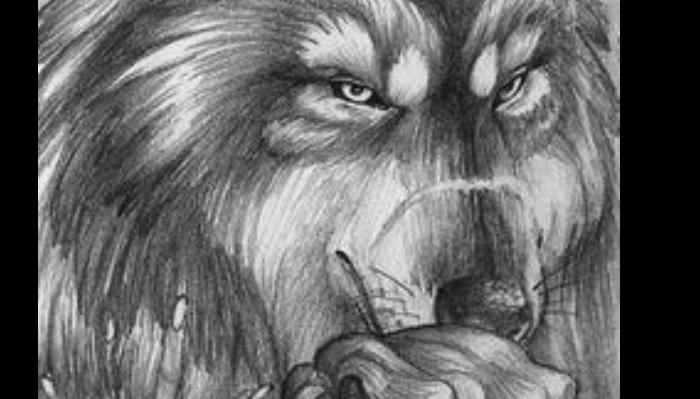 Black and white pencil sketch of a wolf's face with an intense, focused stare.