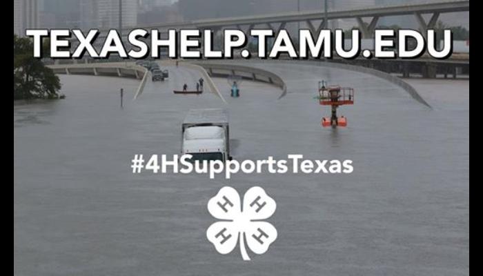 A flooded Texas highway with deep water, overlaid with TEXASHELP.TAMU.EDU, #4HSupportsTexas, and the 4-H logo.