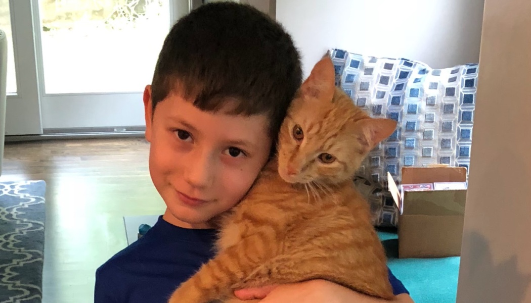 A young boy affectionately cuddling an orange tabby cat close to his face.