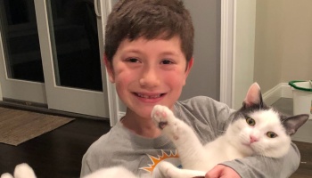 A smiling boy holding a white and grey cat with its paw raised towards the camera.