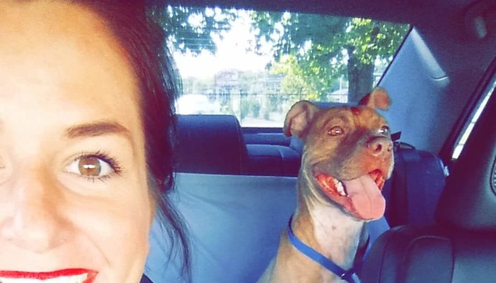A smiling woman taking a selfie with a happy brown pit bull in the back seat of a car.