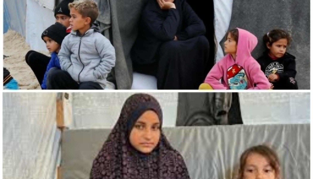 Hassan Fam Survive Gaza