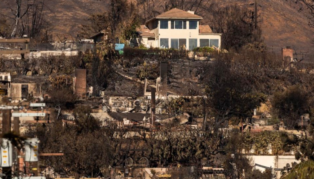 A single intact house stands on a hillside surrounded by charred ruins and burnt trees after a wildfire.