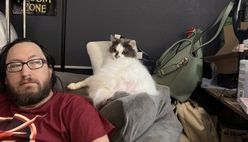 A bearded man with glasses sits on a sofa while a fluffy white and grey cat sits upright behind him.