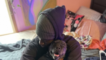 A person in a hoodie affectionately hugs a happy, smiling black dog while sitting on a bed.