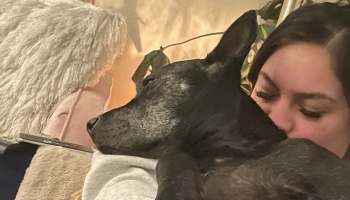 A woman tenderly rests her cheek against a black dog with a graying muzzle as it cuddles close.