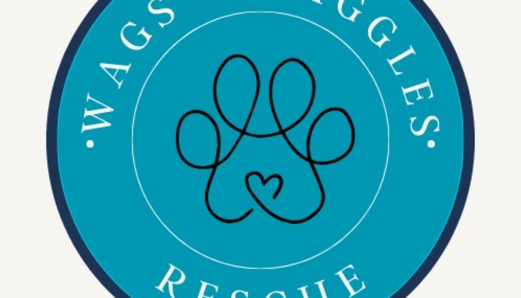 Circular teal logo for Wags & Wiggles Rescue featuring a black line-art paw print with a heart inside.
