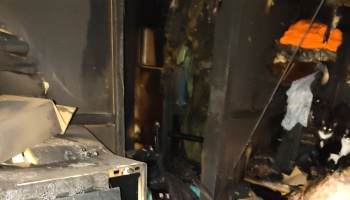 Soot-covered, fire-damaged room with black-and-white cats huddled among charred debris in the corner.