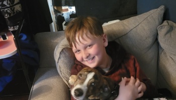 A smiling young boy cuddling a small brown and white dog while sitting on a grey couch.