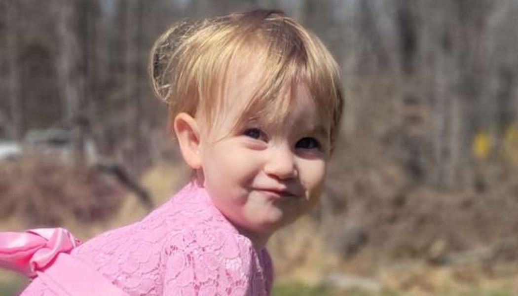 Blonde toddler girl wearing a pink lace dress looking over her shoulder and smiling outdoors.