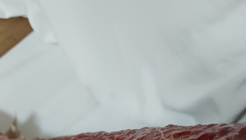 Extreme close-up of a textured red surface against a blurry white background.