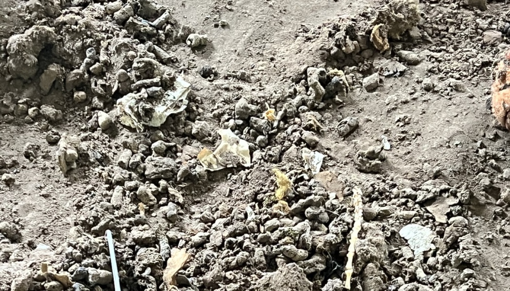 Dry, dusty ground covered in small rocks, dirt clumps, and scattered debris.