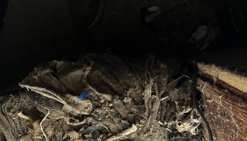 Shredded fabric, dust, and debris forming a rodent nest in a dark, damaged space.