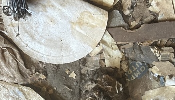 Scattered trash including a stained paper plate, torn cardboard scraps, and plastic waste on dirt.