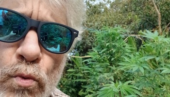 A bearded man with grey hair wearing sunglasses poses outdoors in front of lush green cannabis plants.