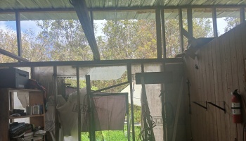 Interior of a storm-damaged shed with torn plastic sheeting, broken wooden framing, and exposed outdoor trees.