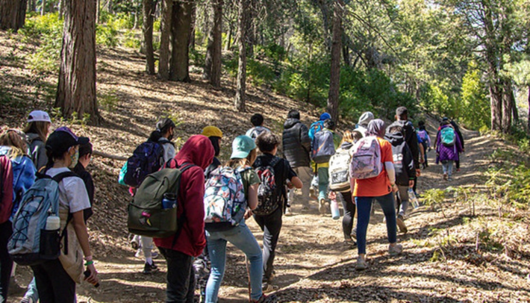 A group of young students with backpacks hiking along a dirt trail through a sunny forest.