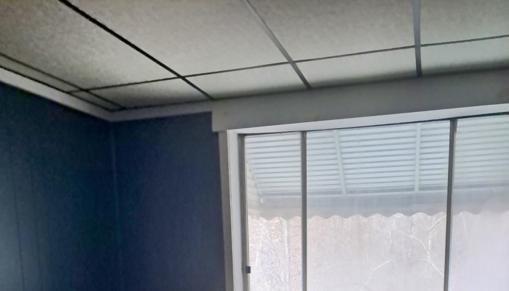 Corner of a room with dark blue walls, a drop ceiling grid, and a large window looking out at a white awning.