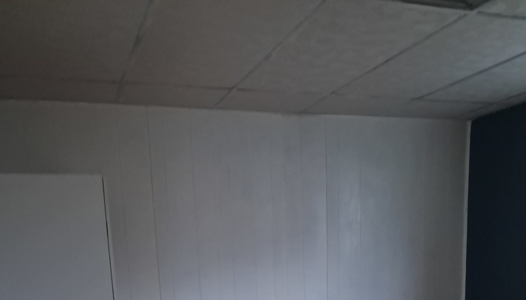 Corner of a room showing acoustic ceiling tiles and white vertical paneled walls.