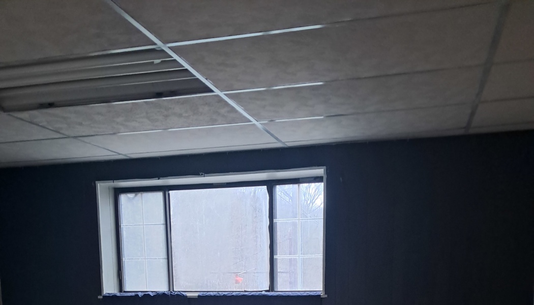 Drop ceiling with fluorescent lights above a window on a dark wall looking out at bare trees.
