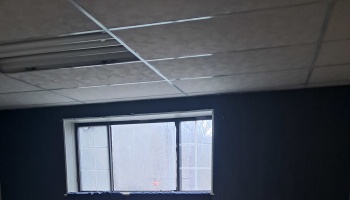 Drop ceiling with fluorescent lights above a window on a dark wall looking out at bare trees.