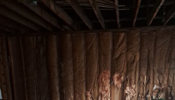 Exposed wooden ceiling joists and wall framing with damaged fiberglass insulation in a dark, unfinished room.