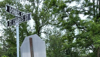 Street signs reading DOBBS ST and ST. CHARLES ST on a metal pole against a backdrop of green trees.