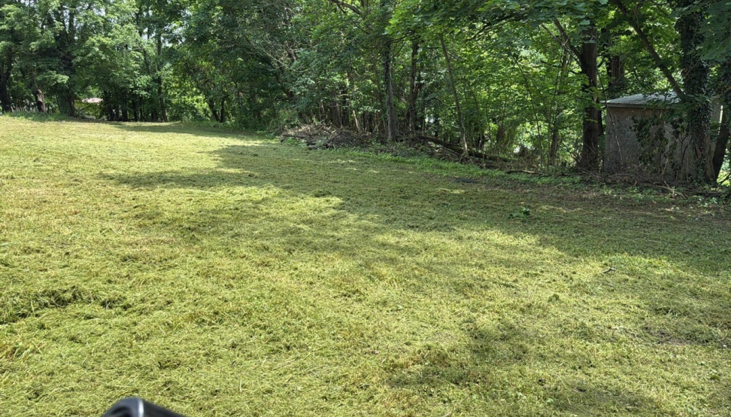 A freshly mowed grassy field bordered by dense green trees and a small shed on the right.