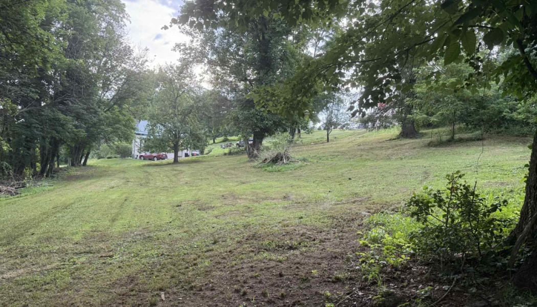 A grassy, sloping yard framed by tall mature trees with a house visible in the background.