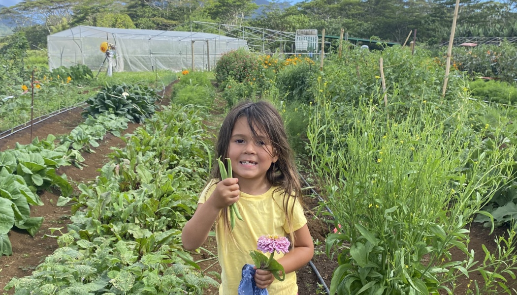 A smiling young girl holding green beans and a pink flower in an outdoor garden with crop rows and a greenhouse.