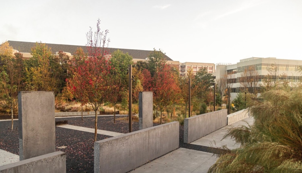 Modern park courtyard with concrete walls, paved paths, and colorful autumn trees in front of large buildings.