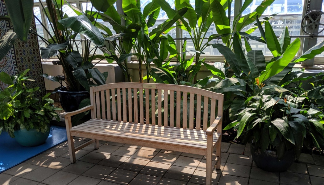 A sunlit wooden bench with a donor plaque surrounded by lush tropical plants in a greenhouse.