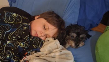 A young boy sleeps soundly in bed wrapped in blankets next to a small, fluffy black and tan puppy.