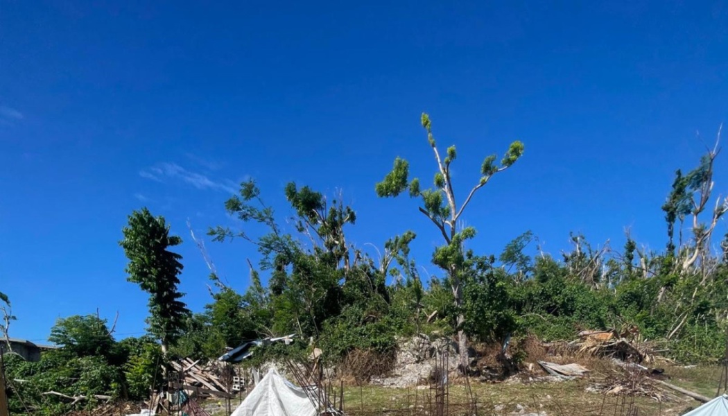 Damaged trees, scattered debris, and a makeshift tarp shelter under a clear blue sky after a severe storm.