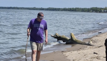 A man in a purple shirt and baseball cap walks along a sandy beach holding a wooden walking stick.