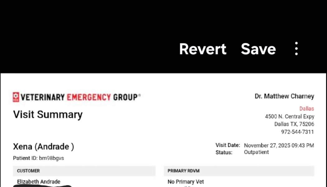Veterinary Emergency Group visit summary for a pet named Xena, dated November 27, 2025.