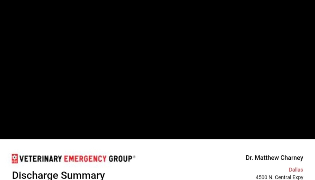 Veterinary Emergency Group discharge summary header from Dr. Matthew Charney in Dallas.