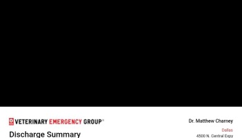 Veterinary Emergency Group discharge summary header from Dr. Matthew Charney in Dallas.