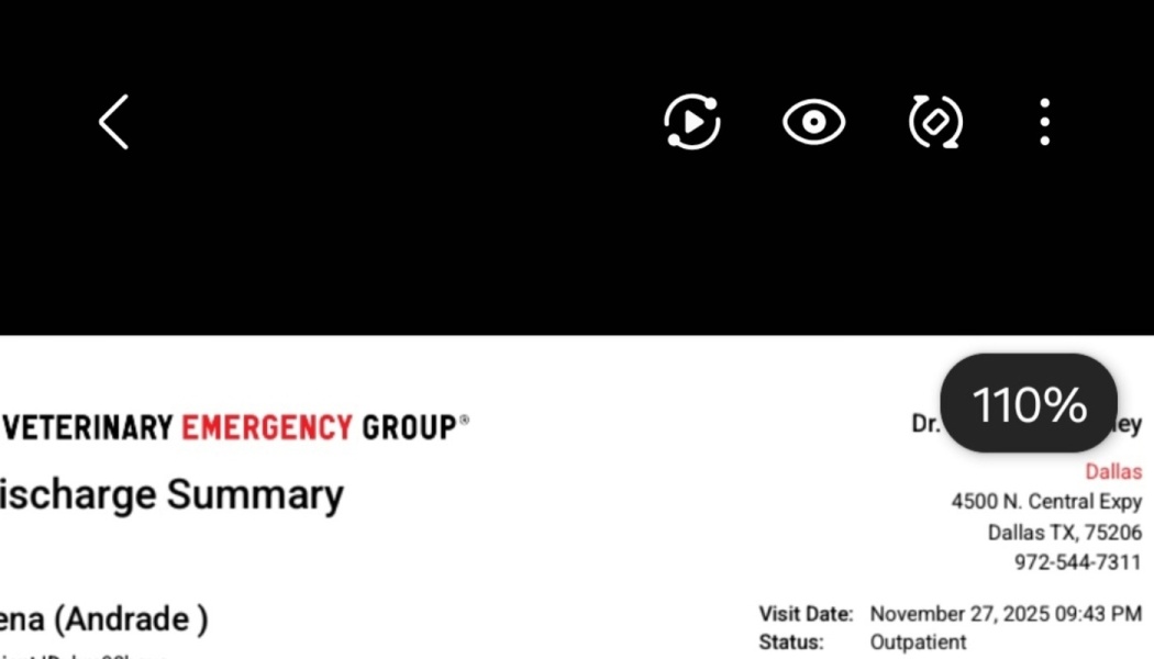 Veterinary Emergency Group discharge summary document for an outpatient vet visit in Dallas.