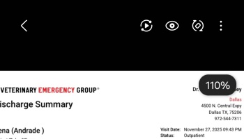 Veterinary Emergency Group discharge summary document for an outpatient vet visit in Dallas.
