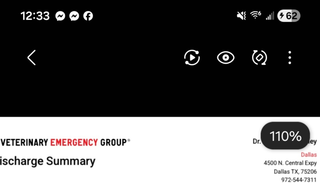 Veterinary Emergency Group discharge summary document header with Dallas, Texas address details.