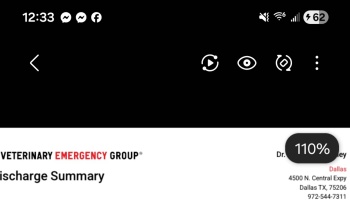 Veterinary Emergency Group discharge summary document header with Dallas, Texas address details.