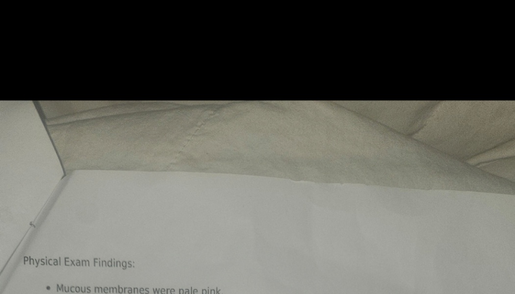 Medical document showing physical exam findings stating mucous membranes were pale pink.